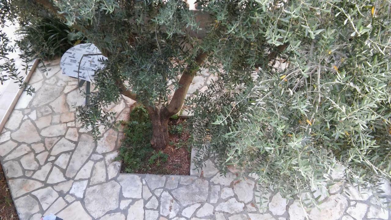 Apartments Ana بيبينيا المظهر الخارجي الصورة